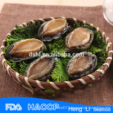 imperial abalone with shell supplier